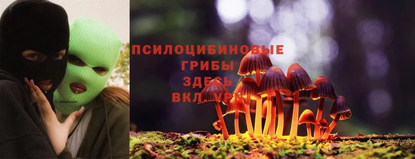 хмурый Богданович