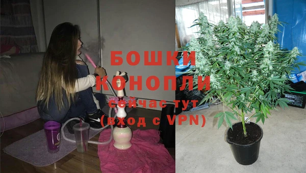 хмурый Богданович