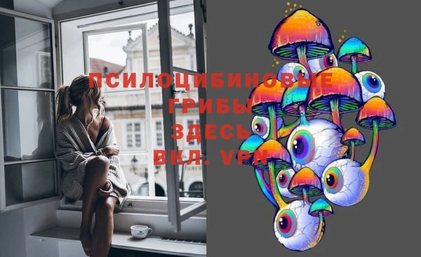 хмурый Богданович
