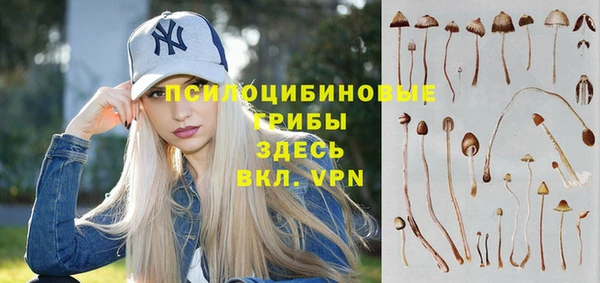 прущий лед Богородицк