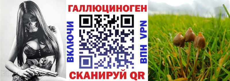 KRAKEN ТОР Мезень Псилоцибиновые грибы прущие грибы продажа наркотиков
